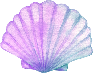 Seashell